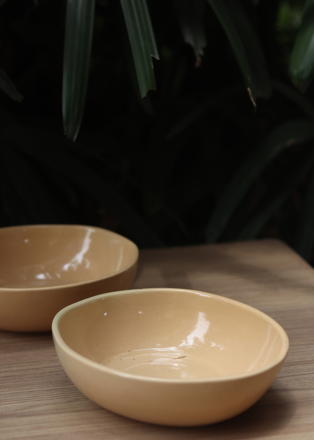 Nude Curry Bowl