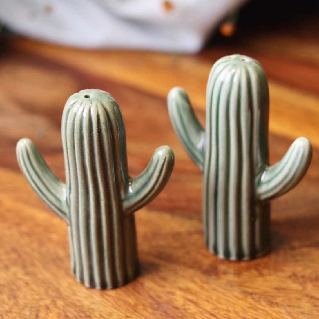 Cactus salt & pepper shakers handmade ceramic