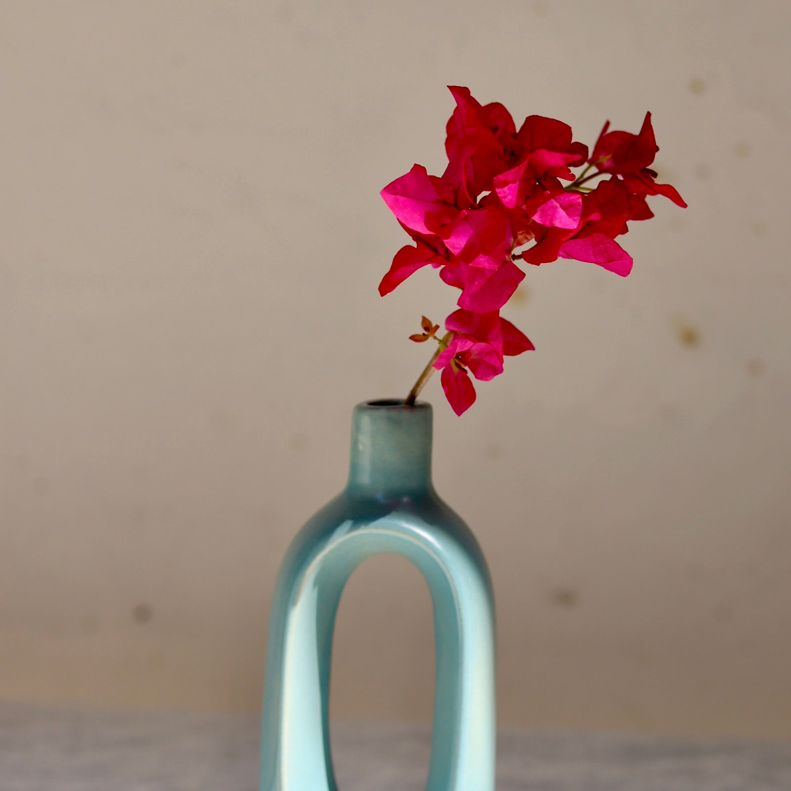 Grey contour vase with flower