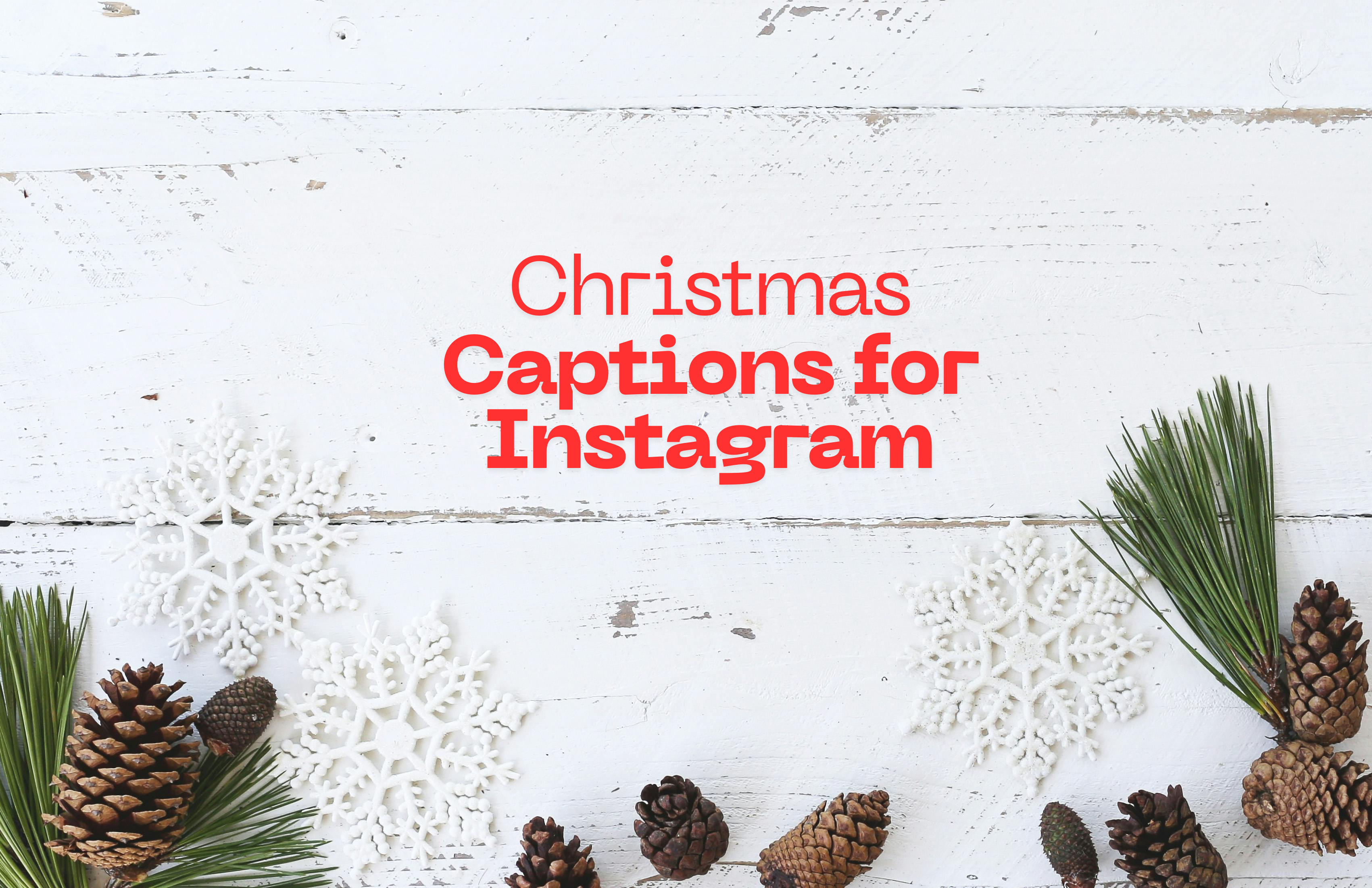 Best Christmas Captions for Sharing Joy and Love