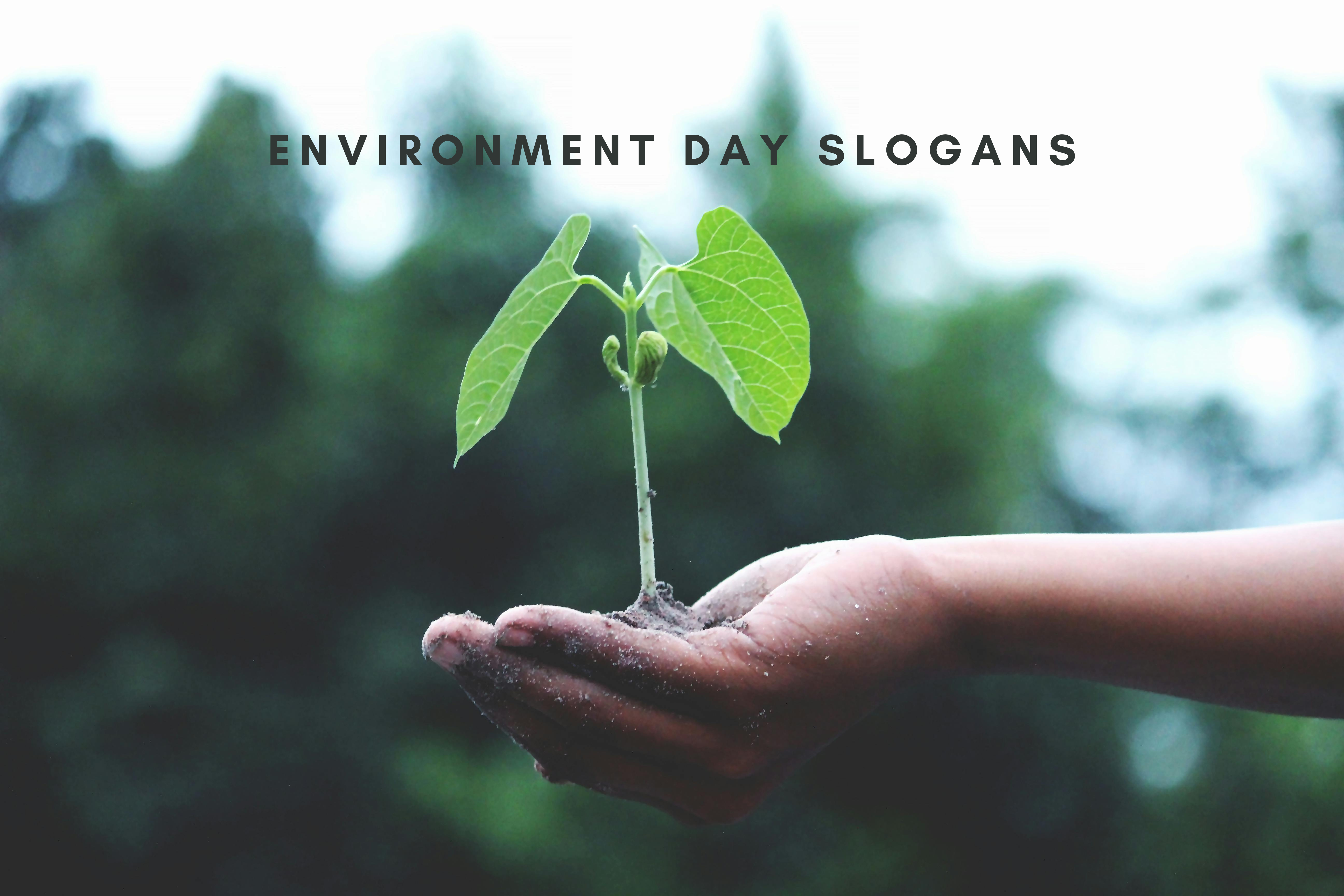 The Best Environment Day Quotes for Sustainable Living