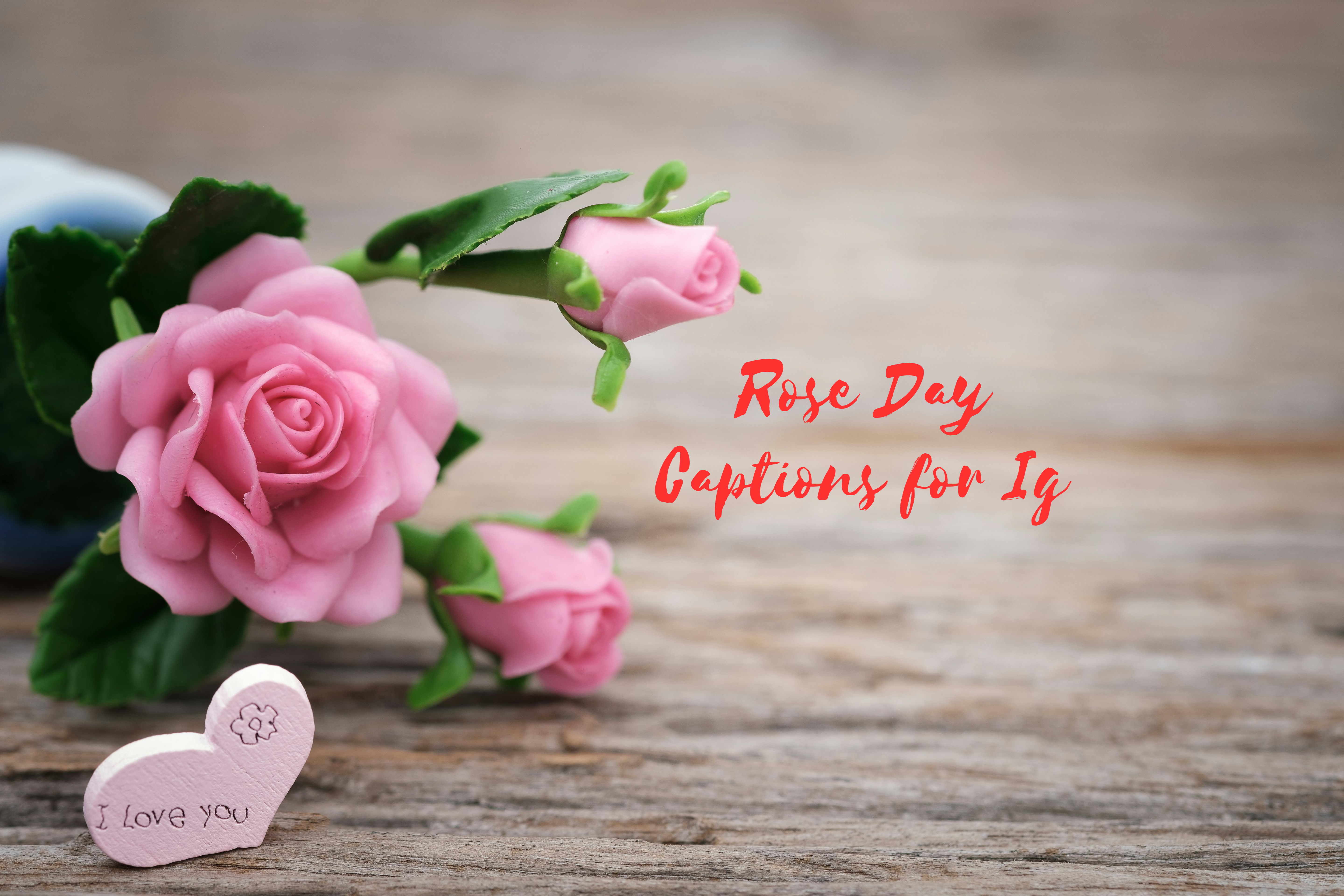 Sweet Rose Day Captions for Your IG Posts