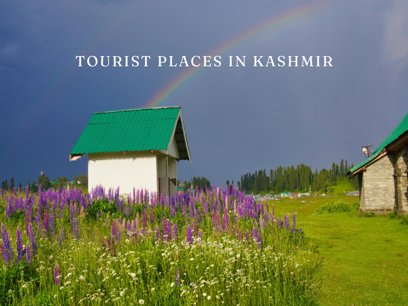 Top 10 Places to Visit in Jammu and Kashmir