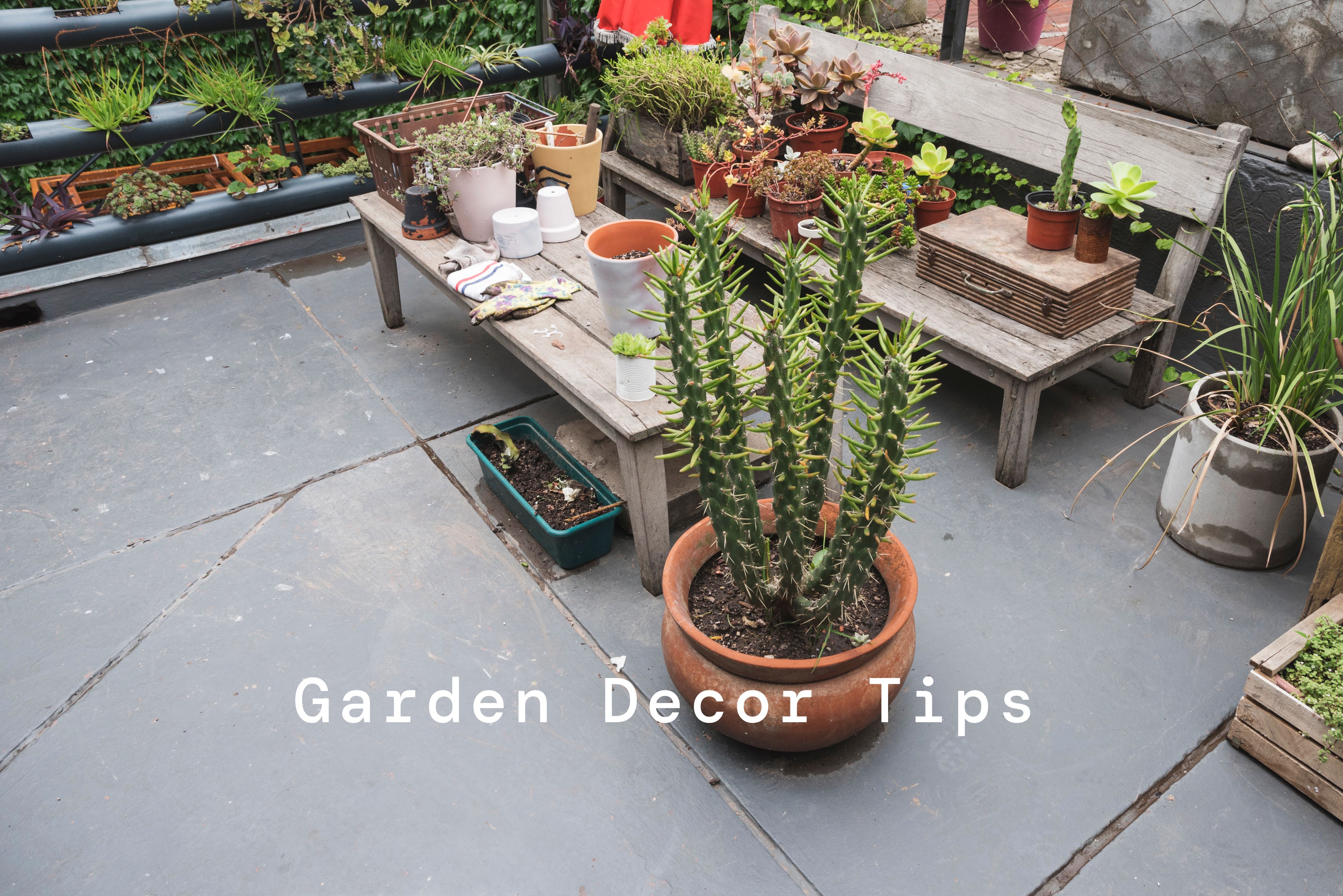 Top Garden Decor Trends You Need to Know in 2024