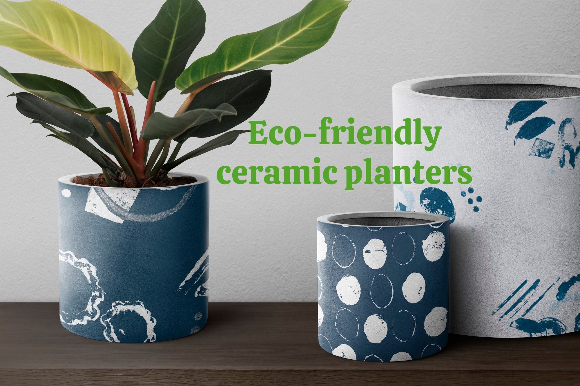 Sustainable Planters: Eco-Friendly Options for Your Garden