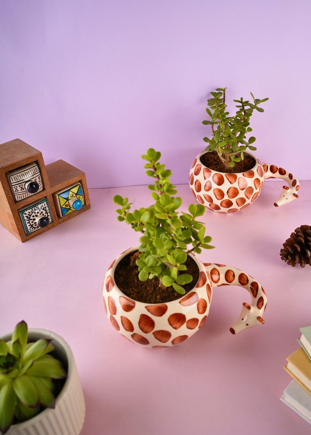 hello giraffe planter with cute giraffe design