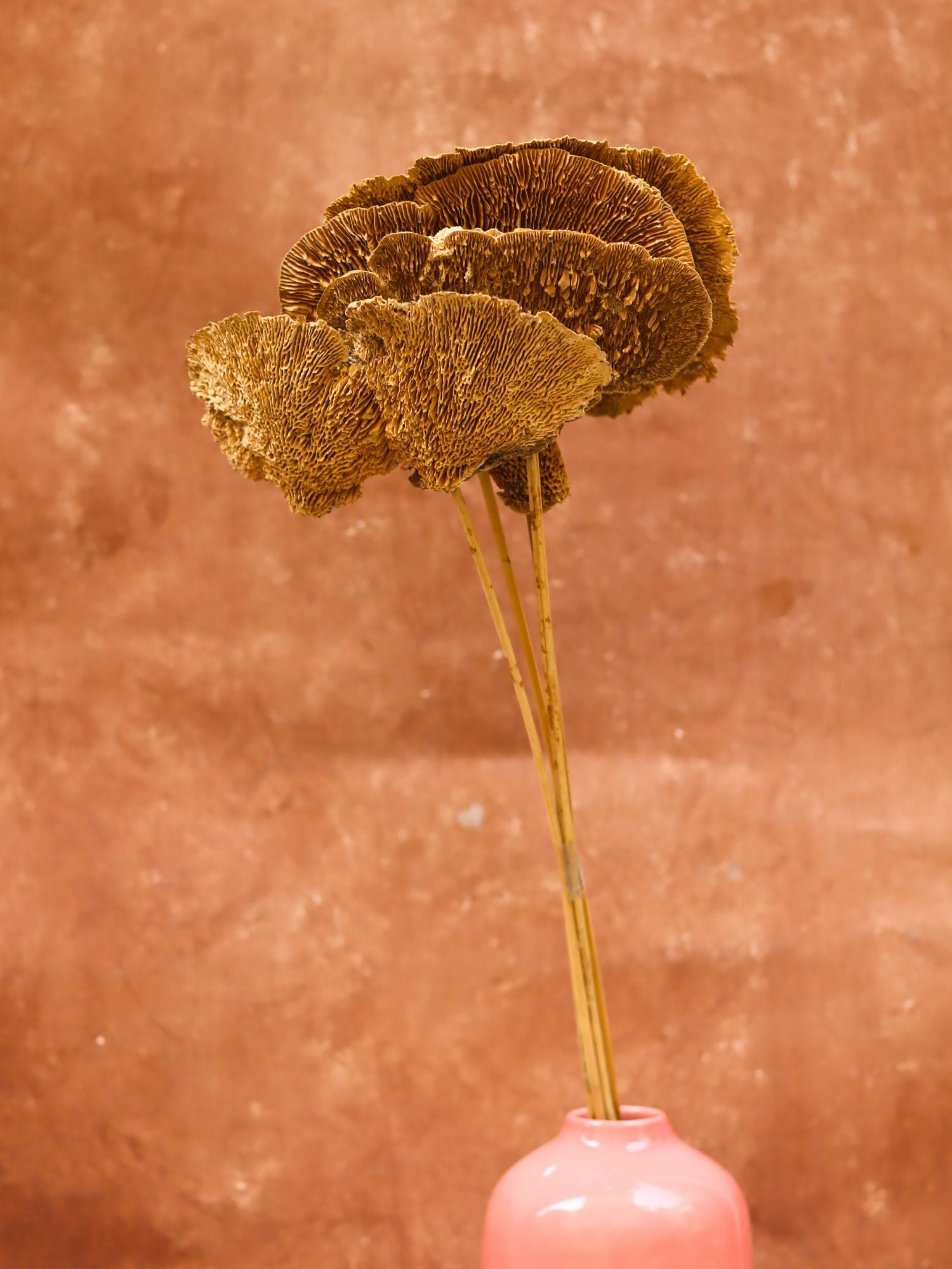 Handmade Dried Mushroom Bunch