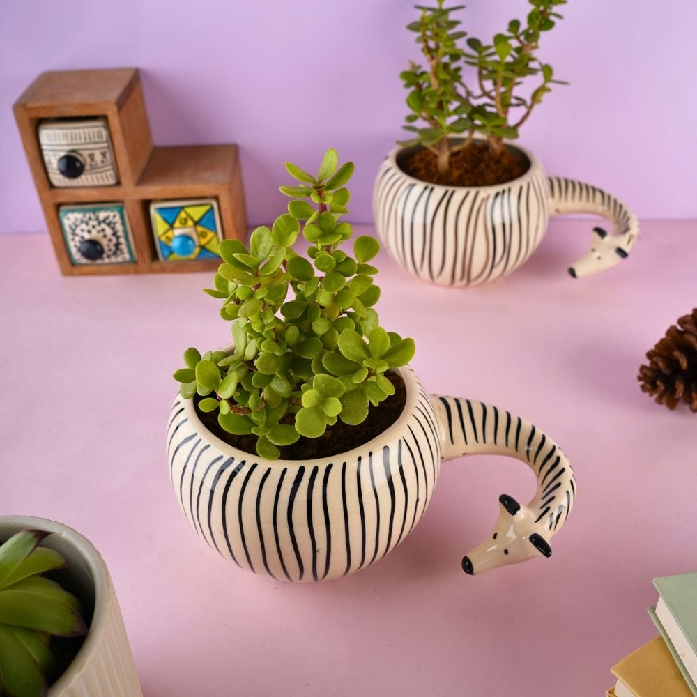 zebra planter made by ceramic