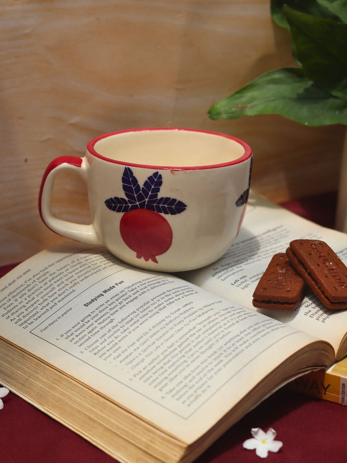 Anar Mugs with premium quality material