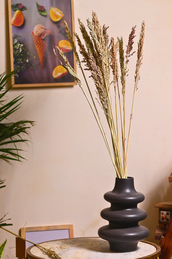Dried natural jowar bunch in hand
