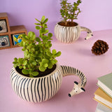 handmade zebra planter