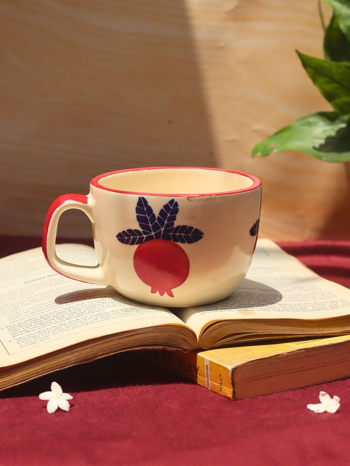 Anar Mugs handmade in India