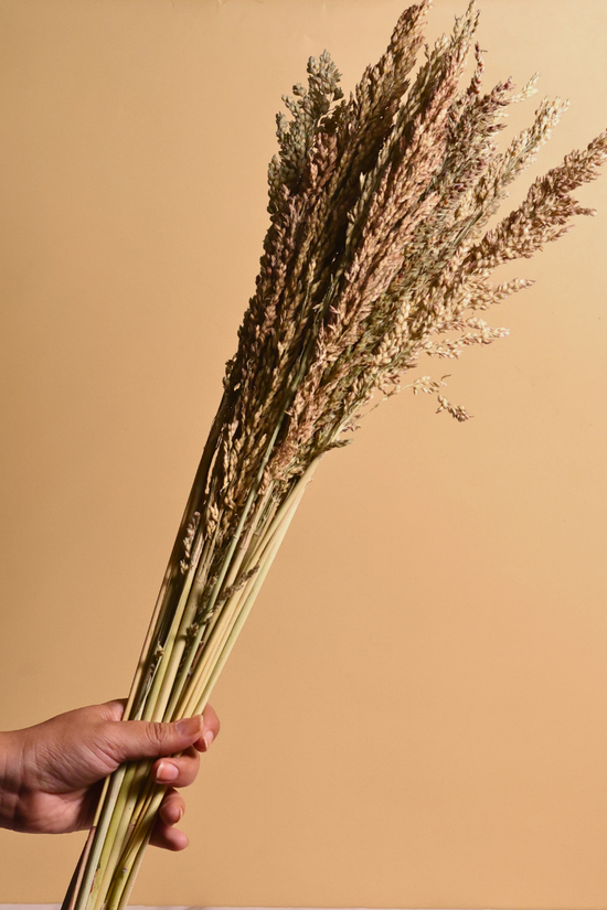 Naturally dried jawar