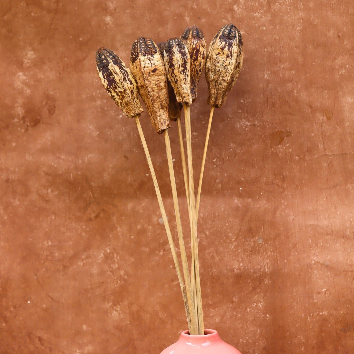 Handmade Dried Nut Bunch