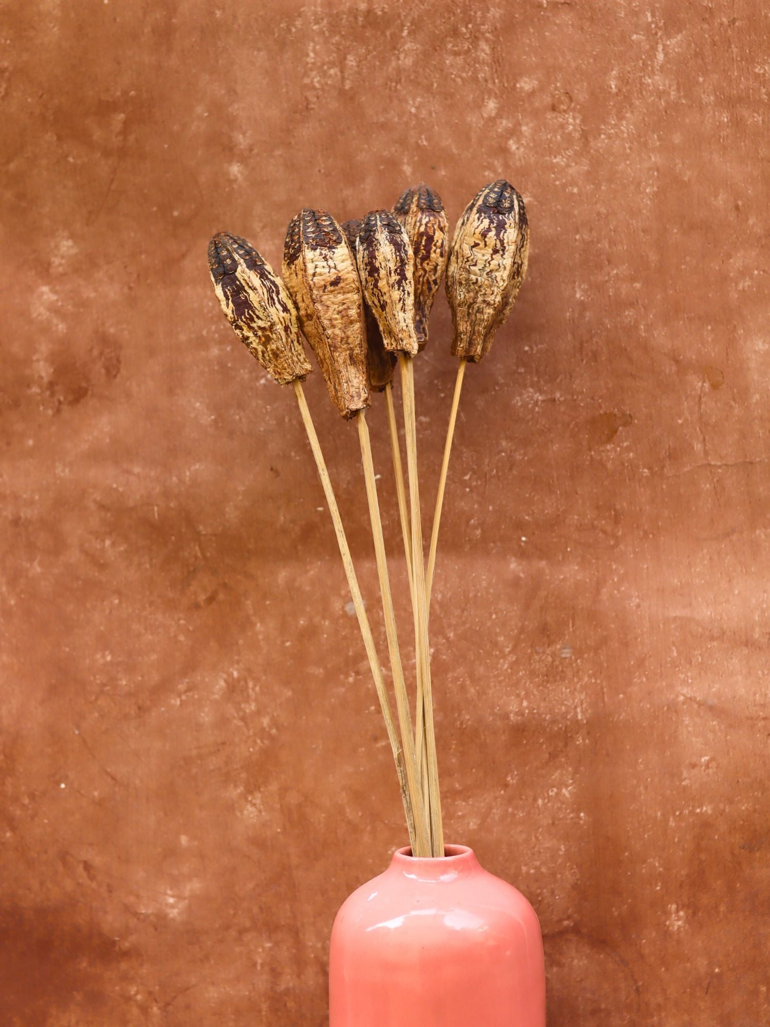 Handmade Dried Nut Bunch