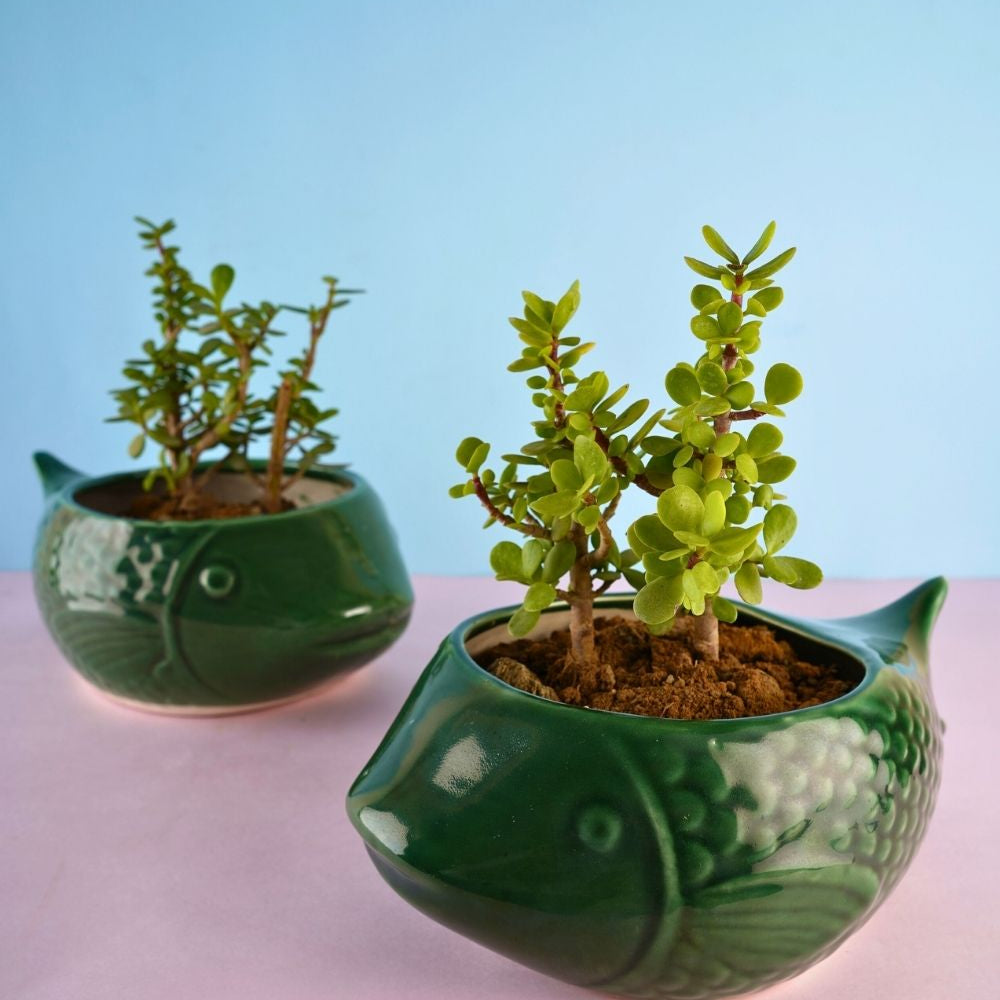 handmade green catfish planter