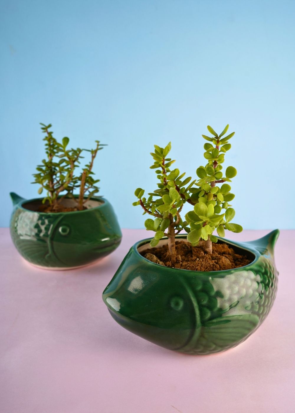 handmade green catfish planter