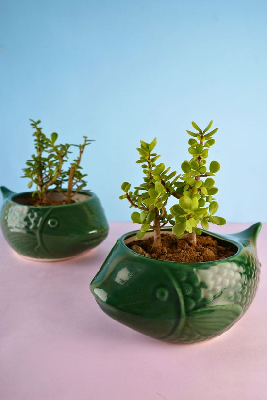 handmade green catfish planter