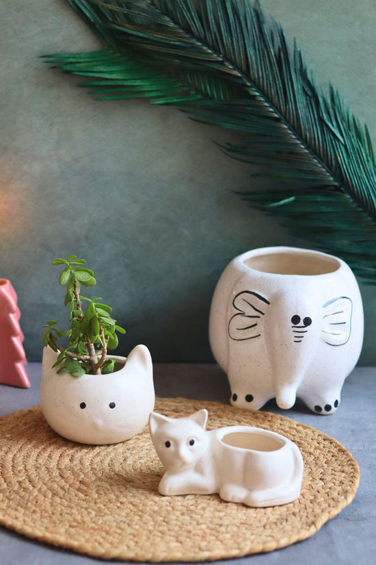 Ele, Cat & Kitty Planter made by ceramic 