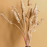 Dried natural twirl bouquet in black vase