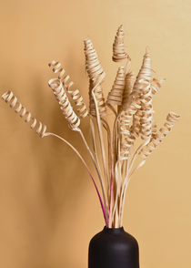 Dried natural twirl bouquet in black vase