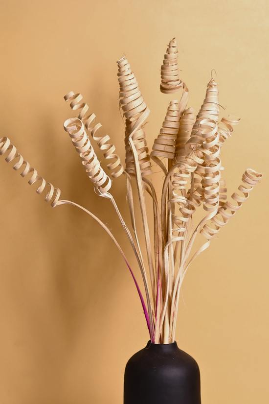 Dried natural twirl bouquet in black vase