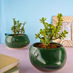green catfish planter handmade in india