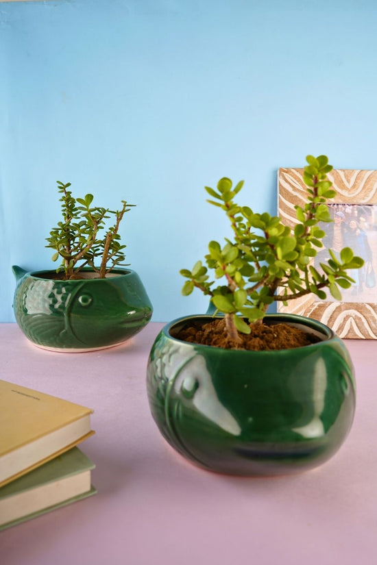 green catfish planter handmade in india