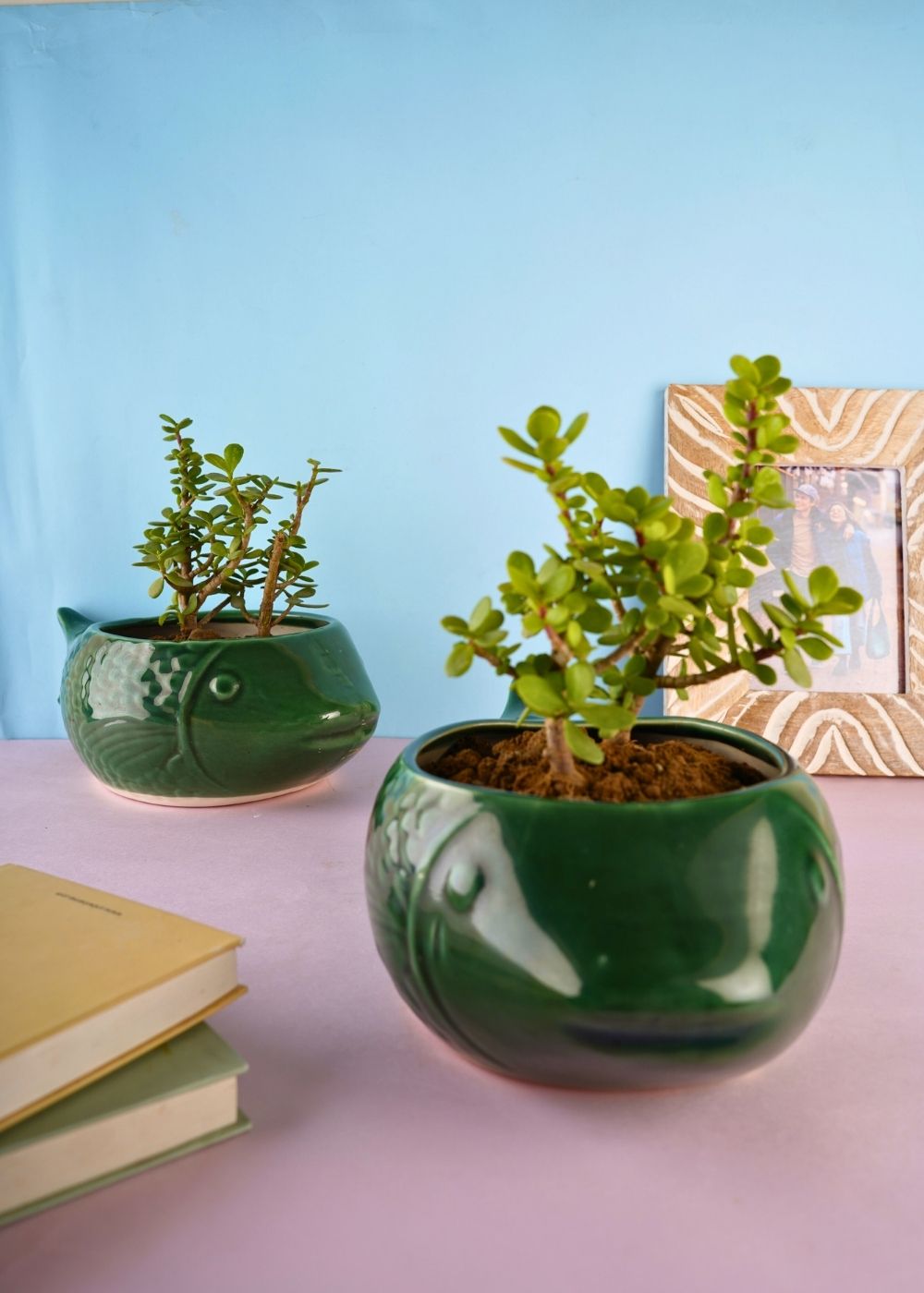 green catfish planter handmade in india