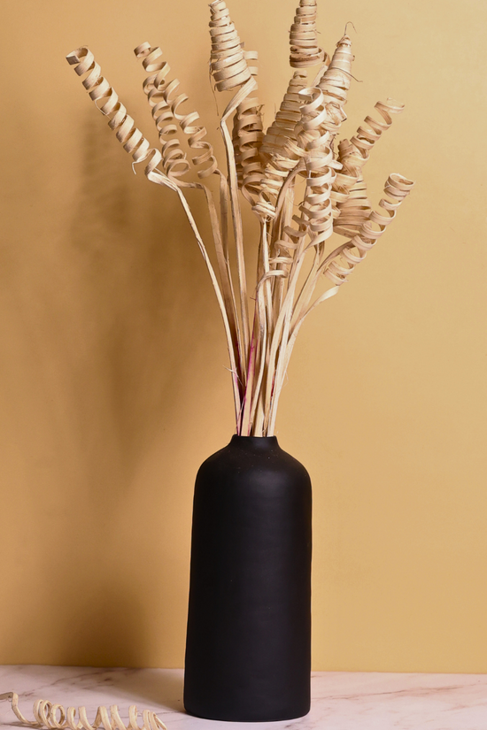 Dried natural twirl- bunch in black vase