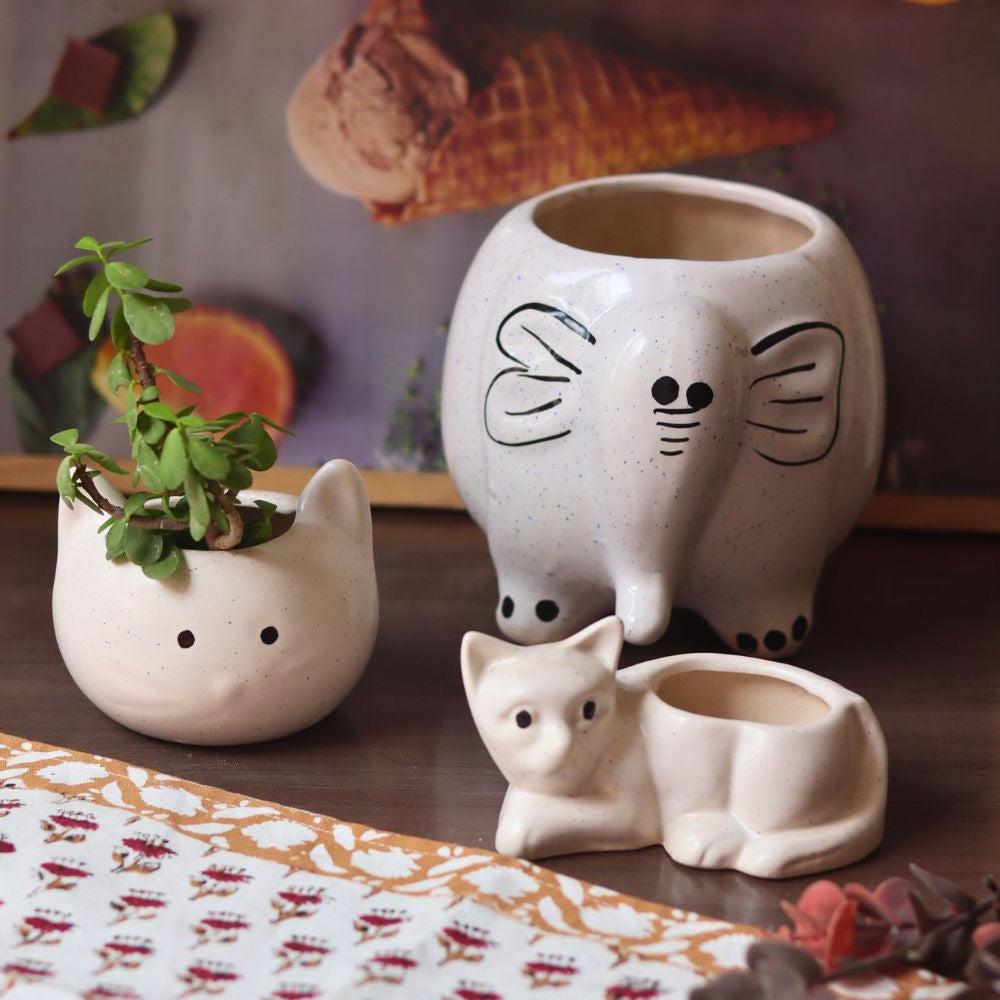 ele, Cat & kitty planter Combo