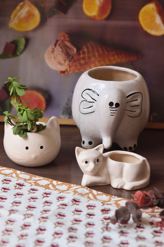 ele, Cat & kitty planter Combo