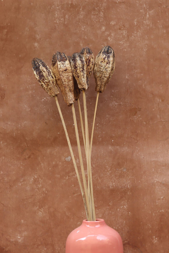 Dried Nut Bunch made with premium quality material