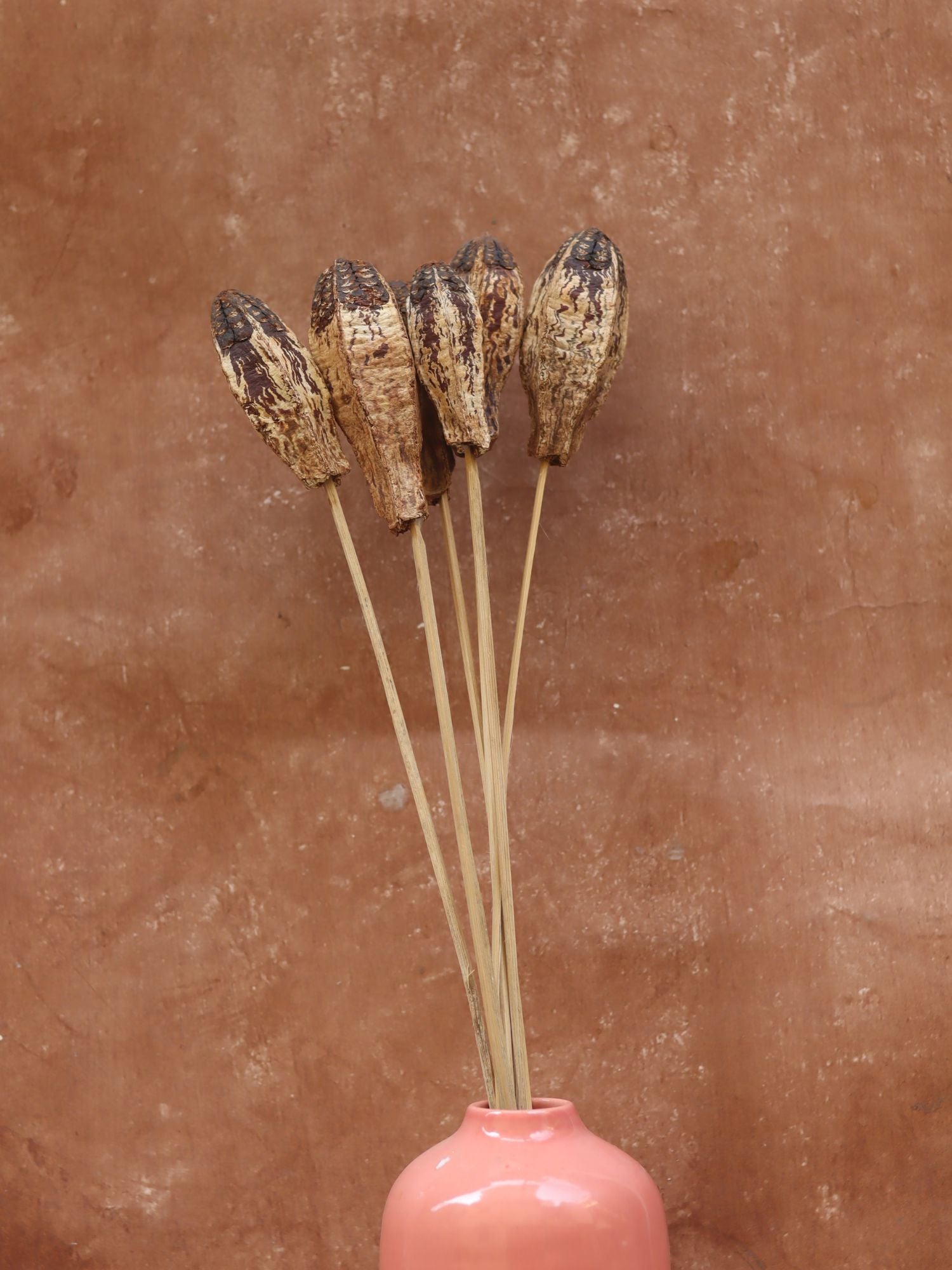 Dried Nut Bunch made with premium quality material