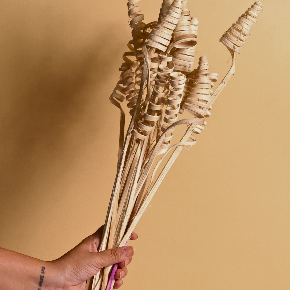 Dried natural bouquet in hand