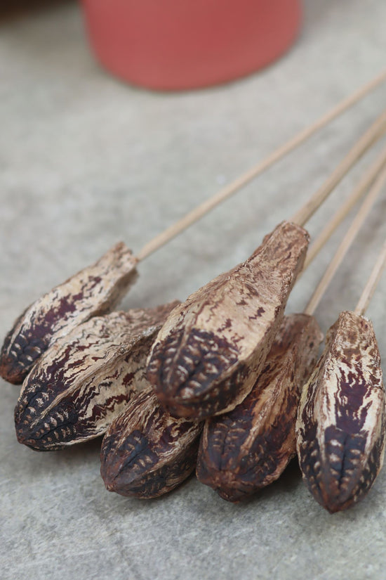 Dried Nut Bunch handmade in India
