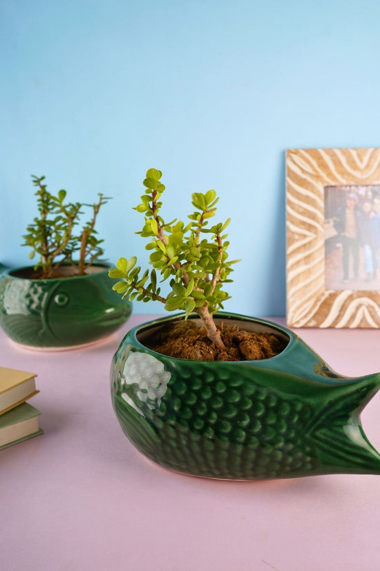 green catfish planter with gliossy finish