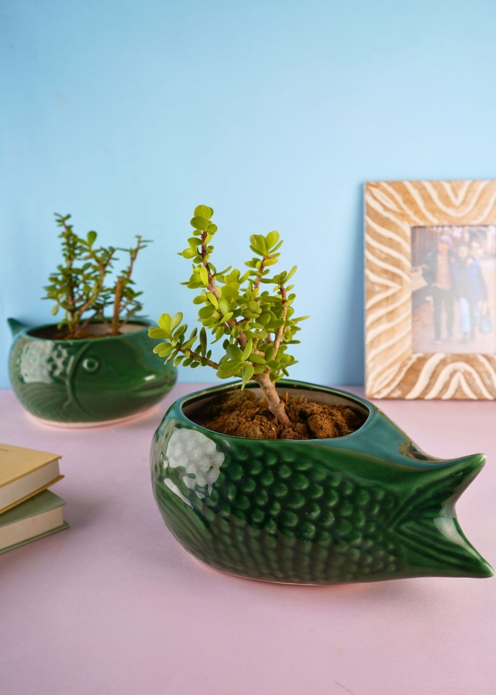 green catfish planter with gliossy finish