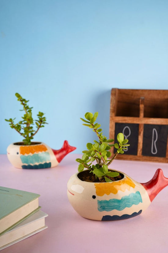nemo fish planter handmade in india