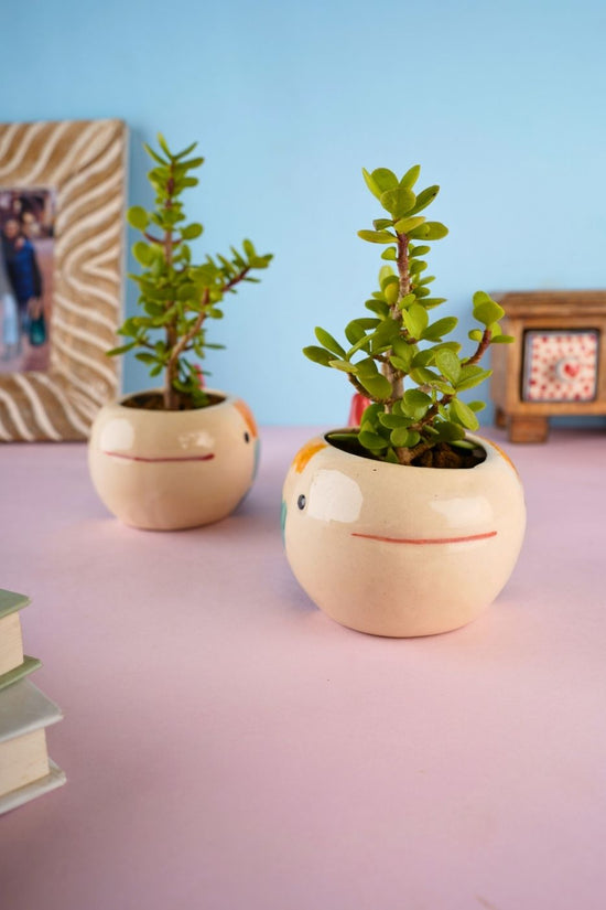 nemo fish planter made by ceramic 