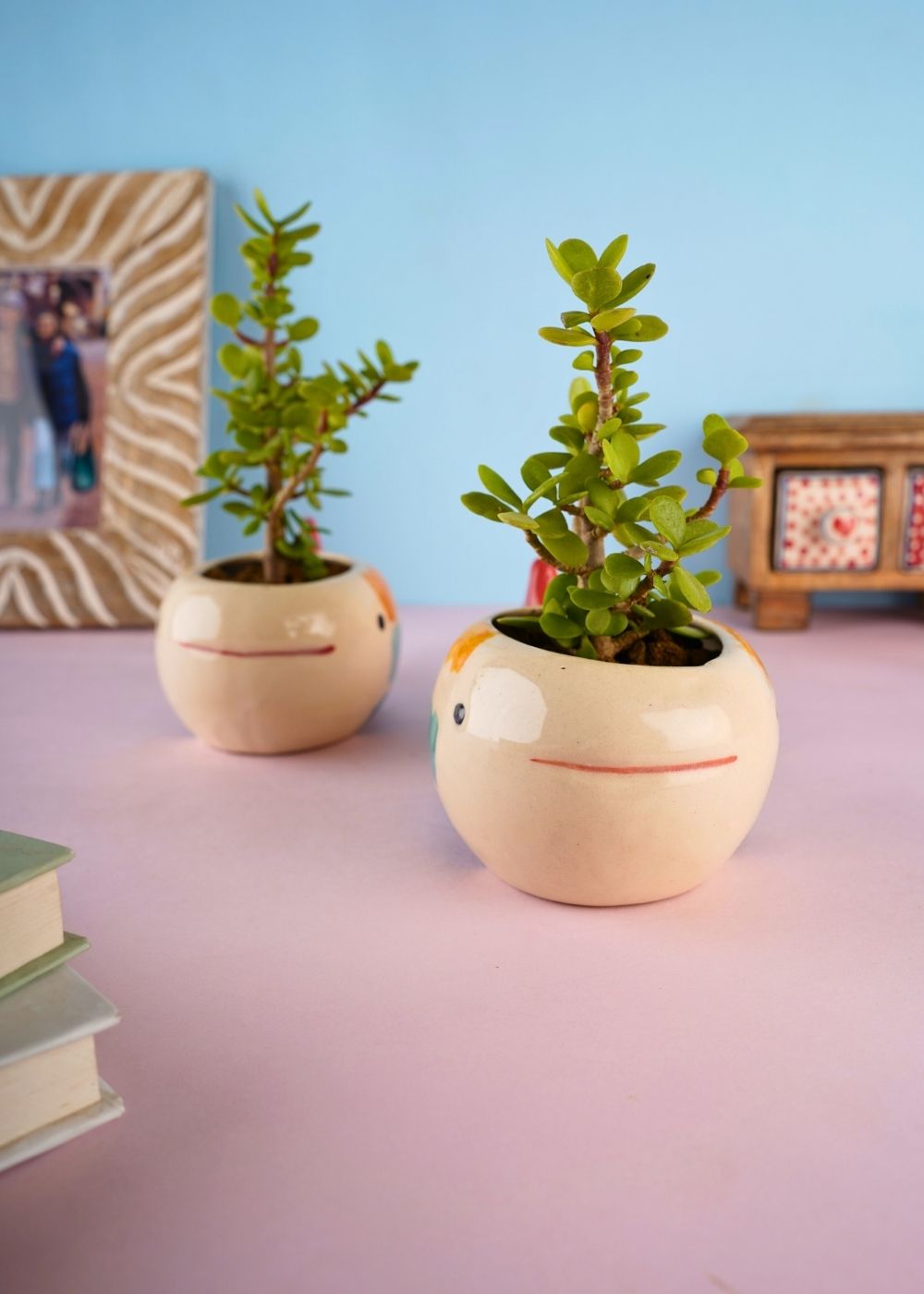nemo fish planter made by ceramic 