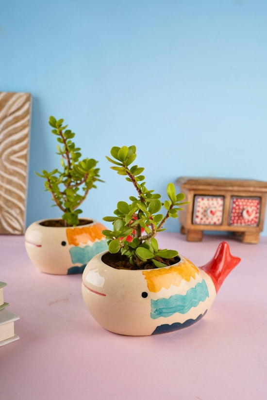 nemo fish planter with cute fishy design
