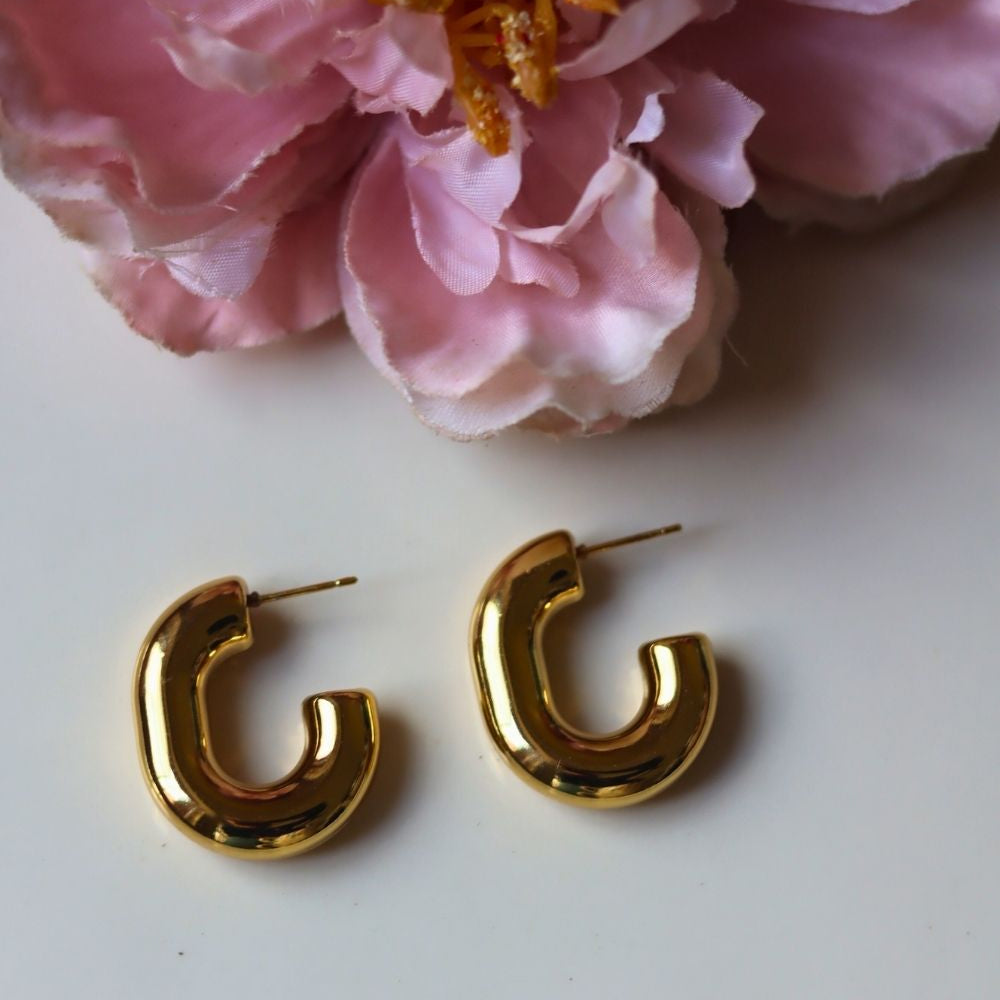 Hypoallergic Chunky Hoop earrings