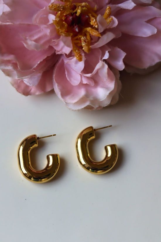 Hypoallergic Chunky Hoop earrings