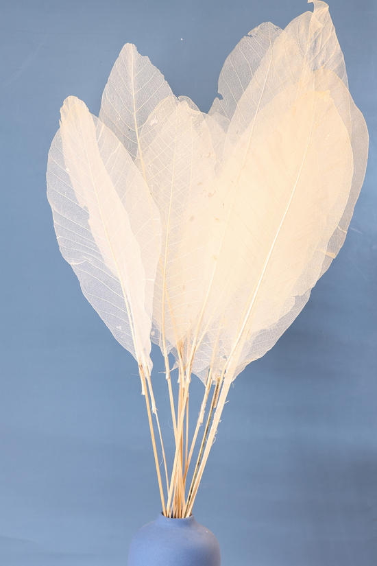 Natural love leaf bunch white