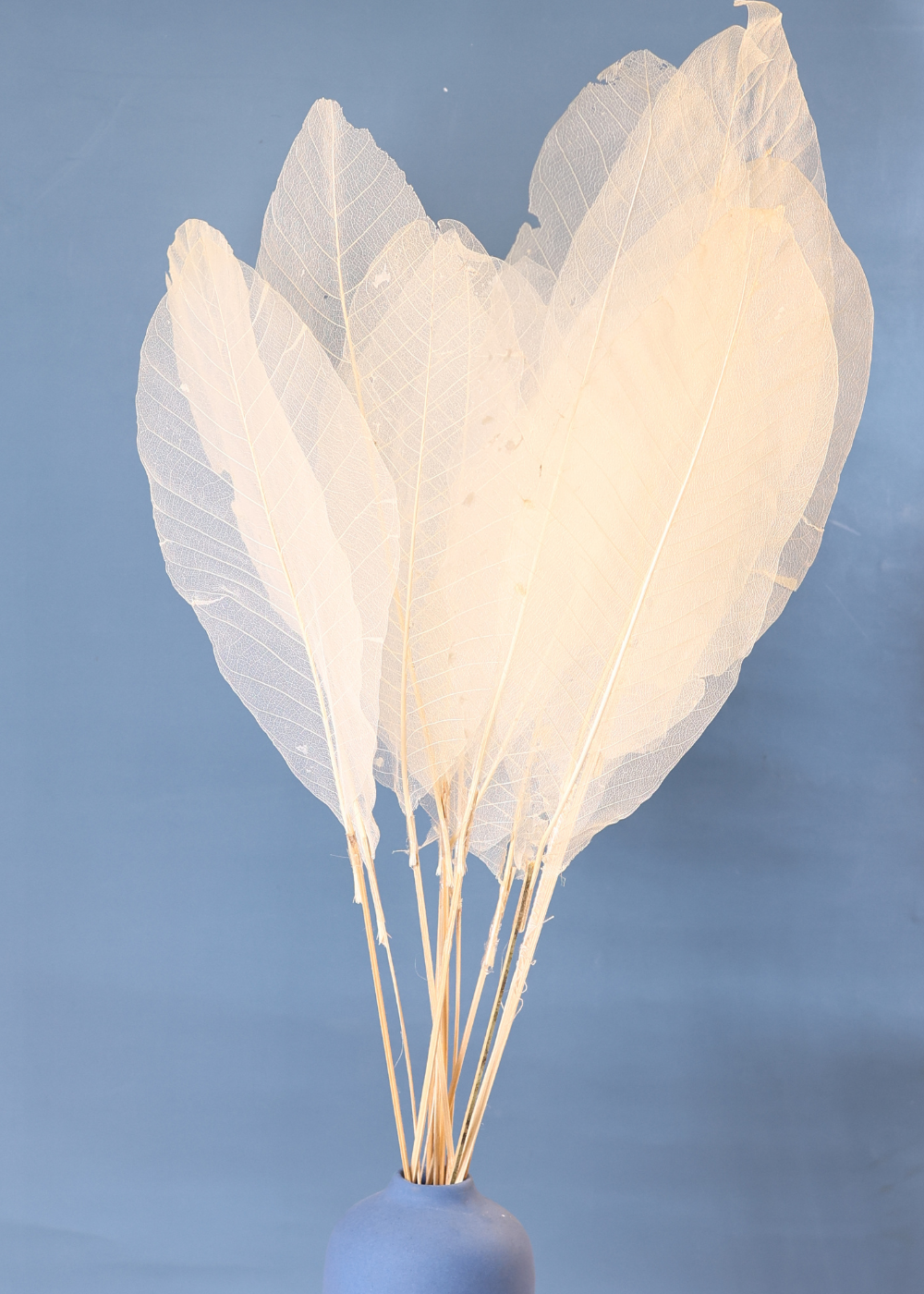 Natural love leaf bunch white