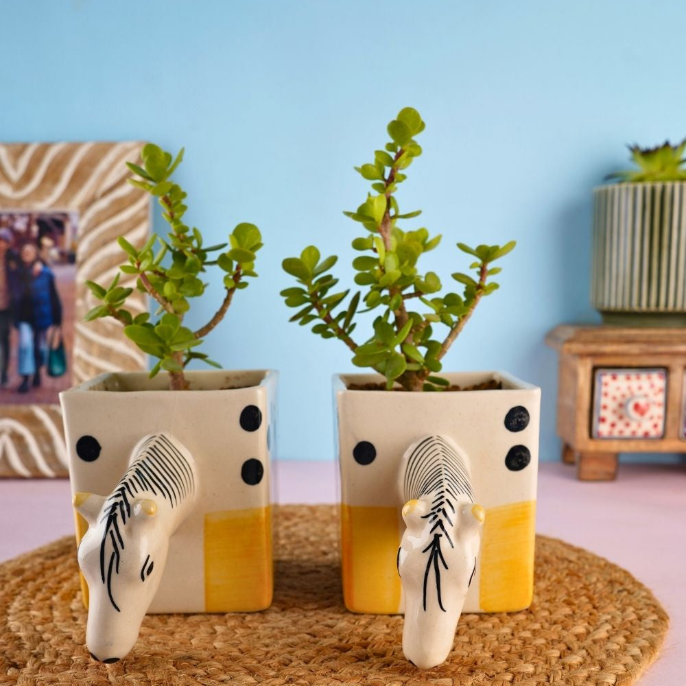 quirky horse planter handmade in india