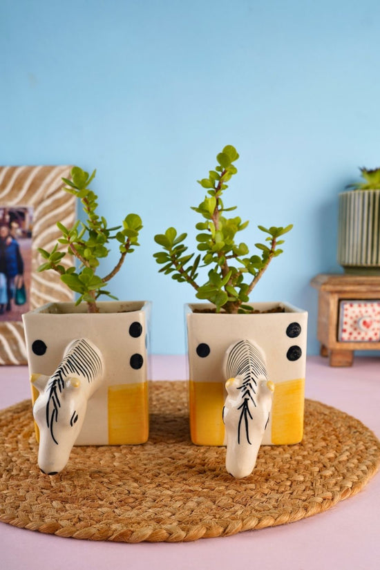 quirky horse planter handmade in india