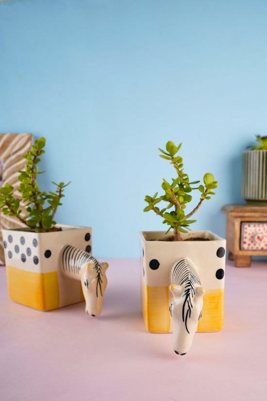 quirky horse planter made by ceramic