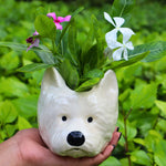 pomeranian dog planter made by ceramic